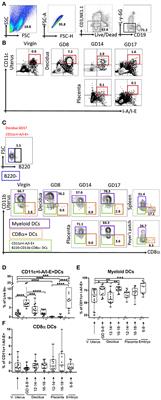 Decidual-Placental Immune Landscape During Syngeneic Murine Pregnancy